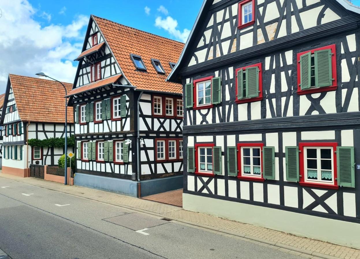 Avahome: Haus Fuer 16, Wlan, Parkplaetze, Netflix, Nespresso Kandel Exterior photo
